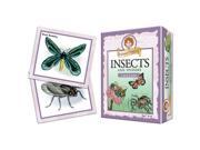 Outset Media Games OM10412 Noggin Insects and Spiders