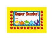 NORTH STAR TEACHER RESOURCE NST2403 INCENTIVE PUNCH CARDS SUPER READER 36 PK