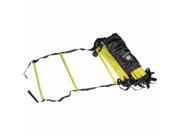 Power Systems 30694 30 ft. Agility Ladder