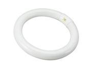 Technical Consumer Products 611012 G10Q 22 Watt Commercial 8 In. Diameter Warm Circline Fluorescent