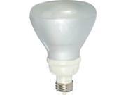 Technical Consumer Products 611041 R40 Instabright 14 Watt Compact Fluorescent Floodlight