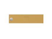 Salsbury Industries 3751GLD Replacement Door and Lock Standard Mb1 Size for 4c Horizontal Mailbox Gold