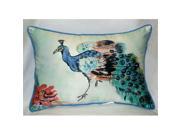 Betsy Drake HJ924 Betsy s Peacock Art Only Pillow 15 x22