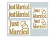 Beistle 55933 Just Married Auto Clings Pack of 12