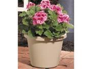 Akro mils Classic Flower Pot Clay 10 Inch Pack Of 12 12010CL