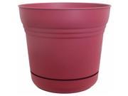 Bloem 10in Saturn Planter Union Red SP1012 6 pack