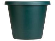 Myers itml akro Mils 16in. Evergreen Classic Pots LIA16000B91 Pack of 12