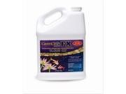 BioSafe 3600 1 1 Gallon GreenClean FX Liquid Algaecide