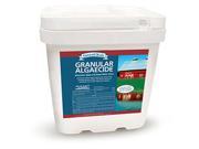 BIOSAFE 3015 50 GreenClean Algacide 50 No. Pail