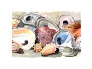 Sea Shells Moisture wicking Fabric standard pillowcase Sea Shells Moisture wicking Fabric standard pillowcase