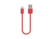 Cygnett 10cm Lightning USB2.0