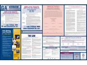 Georgia Labor Law Poster 2015 Laminated All On One State and Federal Labor Law Poster