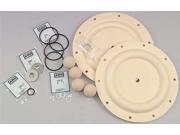 PTFE Diaphragm Pump Repair Kit Aro 637427 TT