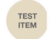 This is A Test Item