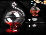DIY Weather Predictable Forecast Liquid Glass Barometer