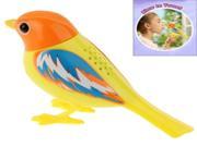Electronic Digi Bird Intelligent Music Toy with 20 Songs Tweets
