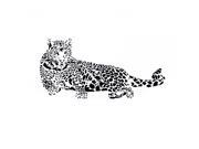 Leopard Pattern Removable Wall Decor Sticker Decal Wallpaper For Room