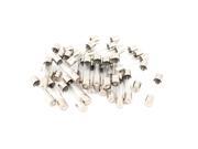 250V 10Amp Fast Quick Blow Glass Tube Fuses 6mm x 30mm 30 Pieces