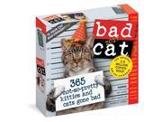 Bad Cat Desk Calendar by Workman Publishing