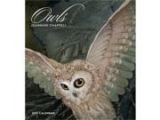 Owls Wall Calendar by Pomegranate