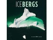 Icebergs Wall Calendar by Wyman Publishing