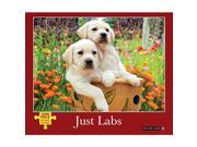 Just Labs 1000 Piece Puzzle by Willow Creek Press