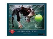 Underwater Dogs Rocco 1000 Piece Puzzle by Willow Creek Press