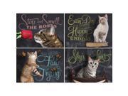Catspirations 1000 Piece Puzzle by Willow Creek Press
