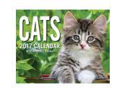 Cats Mini Desk Calendar by Andrews McMeel Publishing