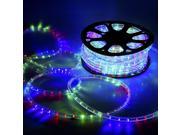 DELight™ 150 Ft 2 Wire LED Rope Light Holiday Valentine Party Decorative Lighting RGBY