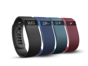 Fitbit Charge Wireless Activity Tracker Wristband