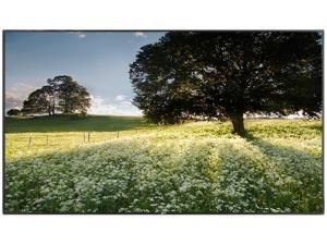 LG 47WS50BS-B 47" (46.9" measured diagonally) IPS Edge LED Full HD Capable Monitor (LG recertified Grade A) LG 47WS50BS-B 47" (46.9" measured diagonally) IPS Edge LED Full HD Capable Monitor (LG recertified Grade A)