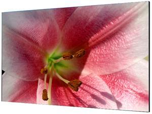 Sharp PN-V602 Black 60" LED Ultra Slim Bezel Video Wall Digital Signage Display Sharp PN-V602 Black 60" LED Ultra Slim Bezel Video Wall Digital Signage Display