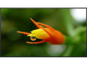 Planar SL4351 43" Simplicity™ Series LCD Digital Signage Display - 997-7953-00 Planar SL4351 43" Simplicity™ Series LCD Digital Signage Display - 997-7953-00