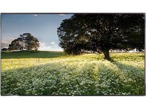 LG 55WS50BS-B 55" 10ms 1920 x 1080 Large Screen Monitors LG 55WS50BS-B 55" 10ms 1920 x 1080 Large Screen Monitors