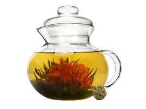 Primula PTA3940 Handblown Glass Tea Pot with Loose Tea Infuser Primula PTA3940 Handblown Glass Tea Pot with Loose Tea Infuser