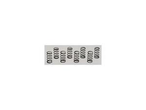 Moroso Performance Valve Checking Springs Moroso Performance Valve Checking Springs