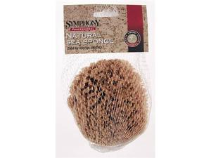 Purdy 031924-00 3 in.- 4 in. Medium Sea Sponges Purdy 031924-00 3 in.- 4 in. Medium Sea Sponges