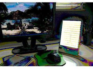 Wilshire CSB Caribbean Sun Wilshire CSB Caribbean Sun
