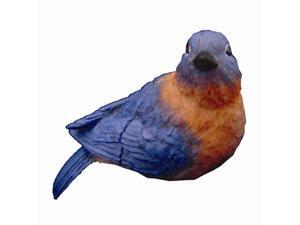 Clark Collection CC52066 Eastern Blue Bird Clark Collection CC52066 Eastern Blue Bird