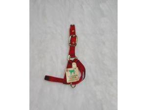 Hamilton Halter Company Calf 1 Turn Out Halter Red 30 Inch - 30DCF RD Hamilton Halter Company Calf 1 Turn Out Halter Red 30 Inch - 30DCF RD