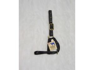 Hamilton Halter Company Yearling 1 Turn Out Halter Black 30 Inch - 30DY BK Hamilton Halter Company Yearling 1 Turn Out Halter Black 30 Inch - 30DY BK