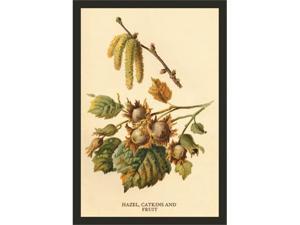 Buyenlarge 17612-1P2030 Hazel, Catkins and Fruit 20x30 poster Buyenlarge 17612-1P2030 Hazel, Catkins and Fruit 20x30 poster
