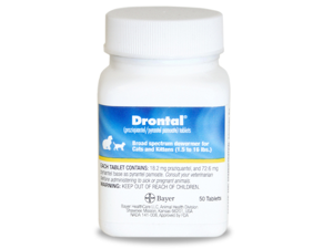 BAYER 016BAYDR-CAT Drontal Feline Tab, 50 Count BAYER 016BAYDR-CAT Drontal Feline Tab, 50 Count