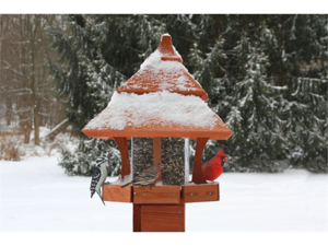 Songbird Essentials SE511 Century Bird Feeder Songbird Essentials SE511 Century Bird Feeder