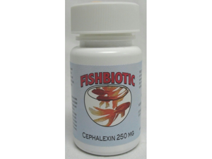 Durvet-pet Fishbiotics Cephalexin Capsl 250 Milligram - 011-67002 Durvet-pet Fishbiotics Cephalexin Capsl 250 Milligram - 011-67002