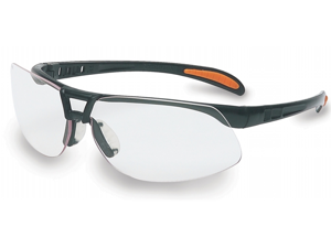Sperian Protection Americas Clear Lens Prot?g? Safety Eyewear RWS-51021 Sperian Protection Americas Clear Lens Prot?g? Safety Eyewear RWS-51021