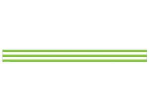 Teacher Created Resources 5292 Lime and White Stripes Straight Border Trim Teacher Created Resources 5292 Lime and White Stripes Straight Border Trim