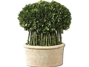 Uttermost 60108 Uttermost Willow Topiary Preserved Boxwood Uttermost 60108 Uttermost Willow Topiary Preserved Boxwood