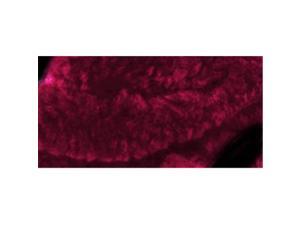 Starbella Arctic Yarn-Hollywood Night Starbella Arctic Yarn-Hollywood Night